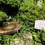 【画像】紫陽花と湘南の絶景を堪能！　江の島中津宮の水琴窟で美しい音色の涼に包まれる 〜 画像1