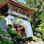 【画像】紫陽花と湘南の絶景を堪能！　江の島中津宮の水琴窟で美しい音色の涼に包まれる 〜 画像1