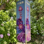 【画像】横浜「八景島シーパラダイス」で第25回あじさい祭が開催中！　帰りは最寄りの金沢八景でうな重に舌鼓 〜 画像1