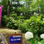 【画像】横浜「八景島シーパラダイス」で第25回あじさい祭が開催中！　帰りは最寄りの金沢八景でうな重に舌鼓 〜 画像1
