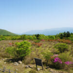 【画像】北関東のツツジの楽園を満喫！　登山あり滝巡りありのアクティビティを堪能 〜 画像1