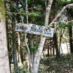 【画像】北関東のツツジの楽園を満喫！　登山あり滝巡りありのアクティビティを堪能 〜 画像1