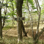 【画像】北関東のツツジの楽園を満喫！　登山あり滝巡りありのアクティビティを堪能 〜 画像1