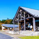 【画像】北関東のツツジの楽園を満喫！　登山あり滝巡りありのアクティビティを堪能 〜 画像1