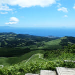 【画像】伊豆の海をひと飲みする大草原！　山頂に居並ぶ大風車群が圧倒する三筋山を歩く 〜 画像1