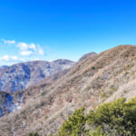 【画像】伊豆の海をひと飲みする大草原！　山頂に居並ぶ大風車群が圧倒する三筋山を歩く 〜 画像1
