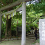 【画像】近年注目赤丸上昇中の「葛原岡神社」で鎌倉紫陽花巡りを堪能 〜 画像1