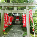【画像】近年注目赤丸上昇中の「葛原岡神社」で鎌倉紫陽花巡りを堪能 〜 画像1
