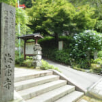 【画像】近年注目赤丸上昇中の「葛原岡神社」で鎌倉紫陽花巡りを堪能 〜 画像1