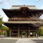 【画像】古都鎌倉の山ノ内で紫陽花を愛でる！　竹林×紫陽そして贅沢な庭園鑑賞を満喫 〜 画像1
