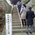 【画像】古都鎌倉の山ノ内で紫陽花を愛でる！　竹林×紫陽そして贅沢な庭園鑑賞を満喫 〜 画像1