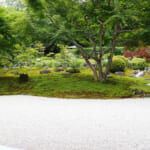 【画像】古都鎌倉の山ノ内で紫陽花を愛でる！　竹林×紫陽そして贅沢な庭園鑑賞を満喫 〜 画像1