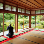 【画像】古都鎌倉の山ノ内で紫陽花を愛でる！　竹林×紫陽そして贅沢な庭園鑑賞を満喫 〜 画像1