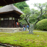 【画像】古都鎌倉の山ノ内で紫陽花を愛でる！　竹林×紫陽そして贅沢な庭園鑑賞を満喫 〜 画像1