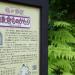 【画像】古都鎌倉の山ノ内で紫陽花を愛でる！　竹林×紫陽そして贅沢な庭園鑑賞を満喫 〜 画像1