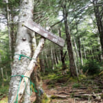 【画像】南八ヶ岳登山の人気バリューセットを歩く！　観音平から行く編笠山〜権現岳ハイクを堪能 〜 画像1