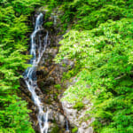 【画像】サクッと行ける奥多摩三山の三頭山！　初夏なら涼感溢れる大滝周りでトリプルピークを制覇 〜 画像1