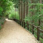 【画像】サクッと行ける奥多摩三山の三頭山！　初夏なら涼感溢れる大滝周りでトリプルピークを制覇 〜 画像1