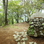 【画像】サクッと行ける奥多摩三山の三頭山！　初夏なら涼感溢れる大滝周りでトリプルピークを制覇 〜 画像1