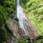【画像】サクッと行ける奥多摩三山の三頭山！　初夏なら涼感溢れる大滝周りでトリプルピークを制覇 〜 画像1