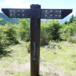 【画像】地域限定の貴種に逢いに行く！　枝先に一輪のエレガントな初夏の花「サンショウバラ」の咲く不老山ハイクを堪能 〜 画像1
