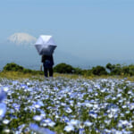 【画像】山で発症したら命の危険も？　熱中症予防に役立つ正しいウェア選びと必須の装備とは 〜 画像1