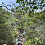 【画像】山で発症したら命の危険も？　熱中症の兆候が出たときの正しい対処法とは 〜 画像1