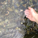 水に手を浸ける