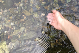 水に手を浸ける