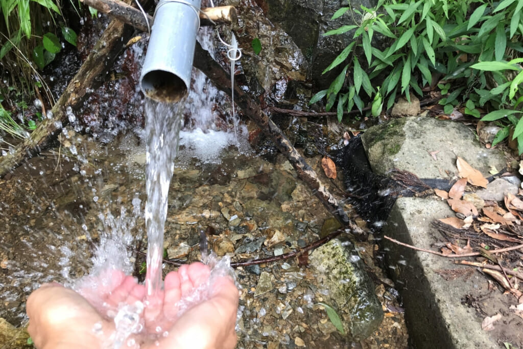 水場で手を冷やす
