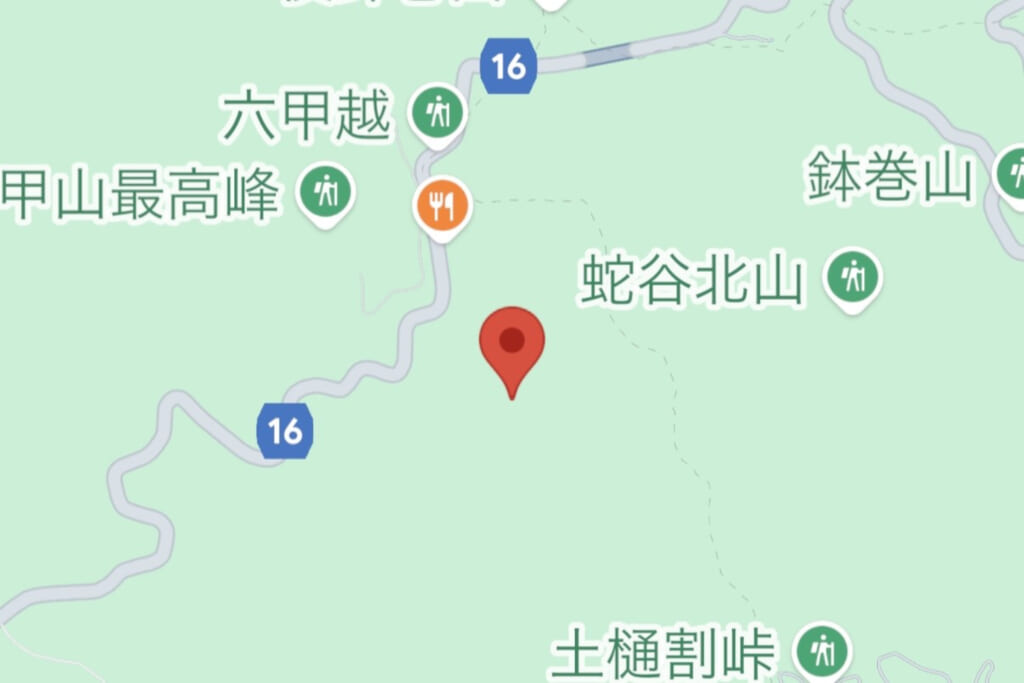 グーグルマップ