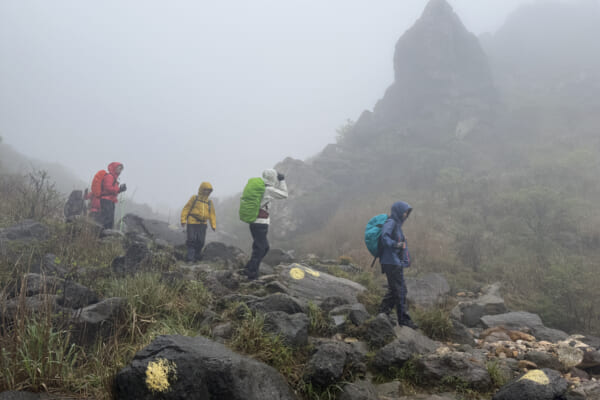 霧雨の山