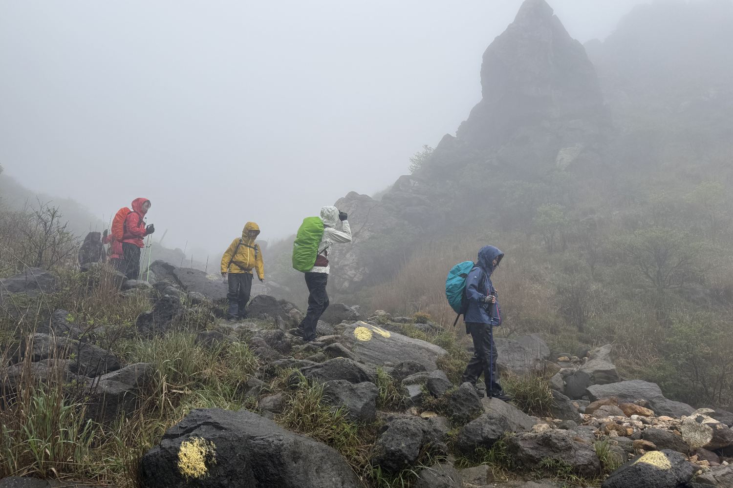 霧雨の山