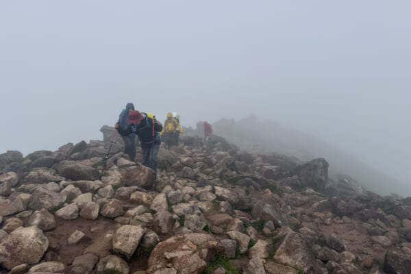 霧の山