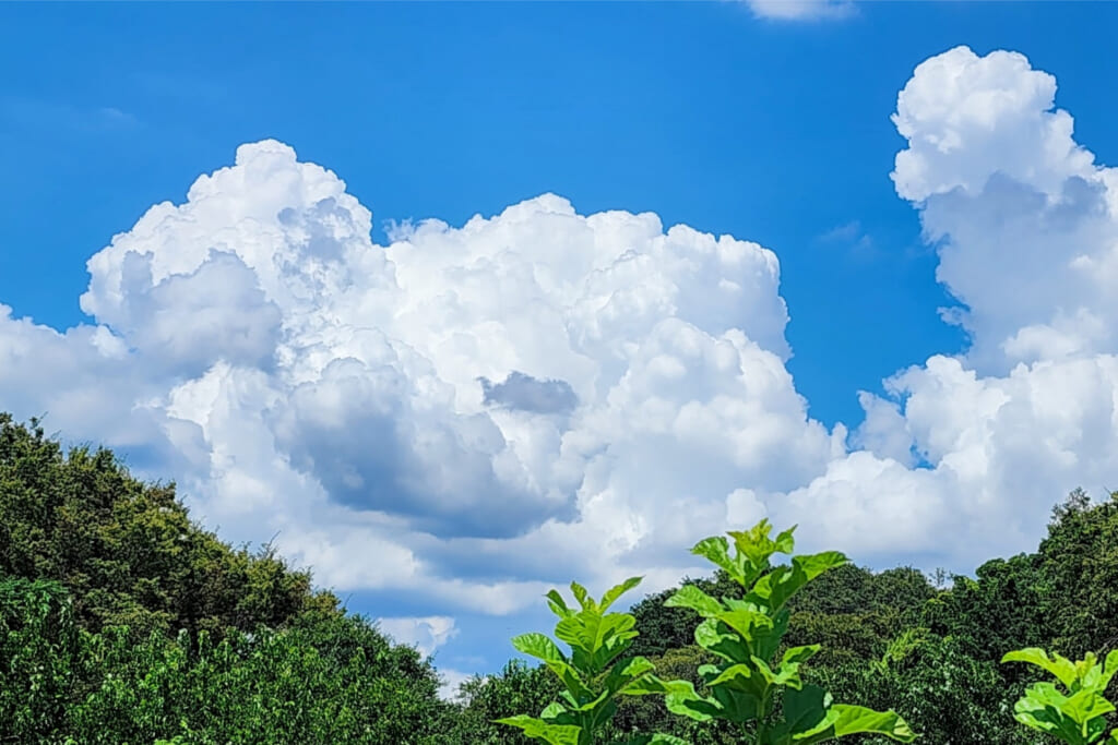 積乱雲