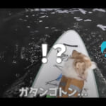 【画像】愛犬タナがSUPで落水するハプニングも…!?　運河から世界一のタワーを見上げる水上散歩に「気持ちよさそう！」のコメントが溢れる 〜 画像1
