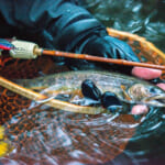 【画像】初心者からベテラン勢まで楽しめる！　“釣り哲学”世界唯一の「渓流ルアー和竿」が誕生 〜 画像1