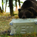 【画像】ネオンイエローがアウトドアシーンで映える！　YETI®️の最強クーラーボックスで猛暑の夏を乗りきる 〜 画像1