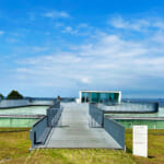 【画像】横須賀美術館でアート鑑賞＆紫陽花を愛でる！　そこで出会ったハート型の紫陽花に魅せられる 〜 画像1