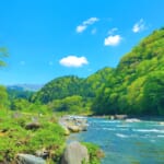 【画像】富士山の湧き水だけでできた川？　美しい景色を満喫できる「日本三大清流」の魅力とは 〜 画像1