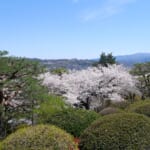 【画像】観光だけじゃなく歴史学習にも！　日本に生まれたなら一度は訪れたい景観美を楽しめる「日本三名園」の魅力とは 〜 画像1