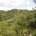 【画像】その山頂は行き止まり？　誰にも会うことがない六甲山のマイナーピークを登る「小天狗山」探索 〜 画像1