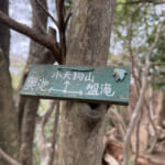 【画像】その山頂は行き止まり？　誰にも会うことがない六甲山のマイナーピークを登る「小天狗山」探索 〜 画像1