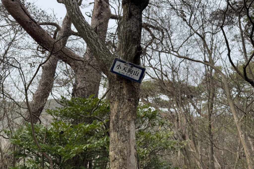 小天狗山