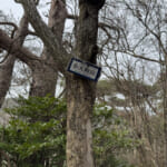 【画像】その山頂は行き止まり？　誰にも会うことがない六甲山のマイナーピークを登る「小天狗山」探索 〜 画像1