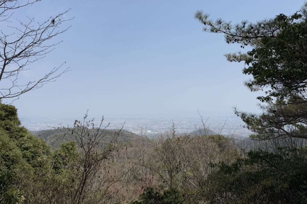 東側