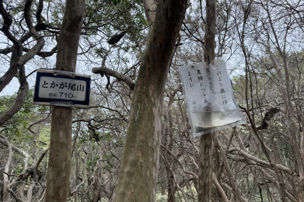 とかが尾山