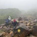 【画像】ミヤマキリシマに彩られた雄大なる九州の山旅！　霧雨に煙るくじゅう連山の主峰「久住山」を歩く 〜 画像1