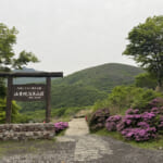 【画像】ミヤマキリシマに彩られた雄大なる九州の山旅！　九州の名だたる山々を睥睨する「大船山」登山 〜 画像1