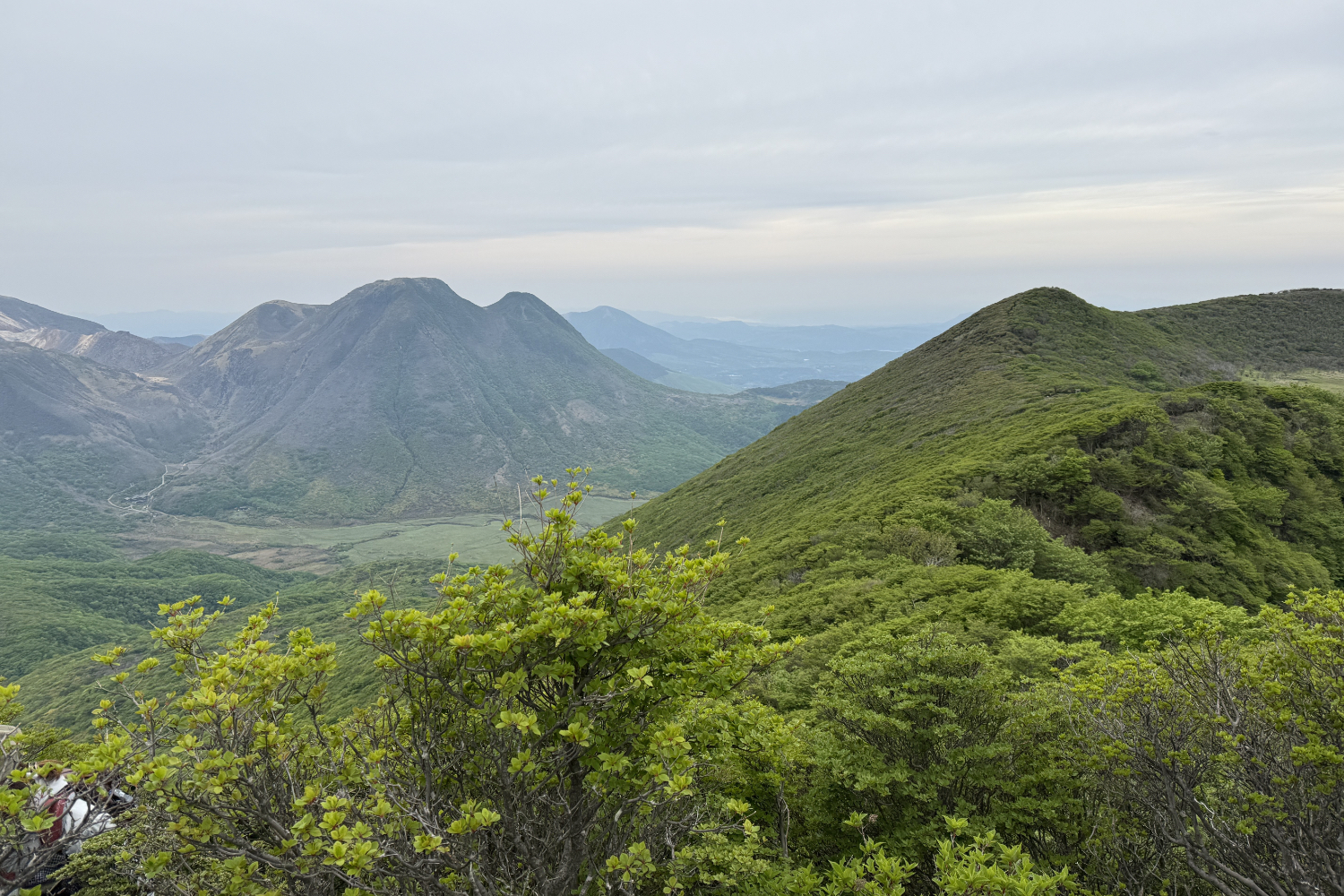 ミヤマキリシマに彩られた雄大なる九州の山旅！　九州の名だたる山々を睥睨する「大船山」登山
